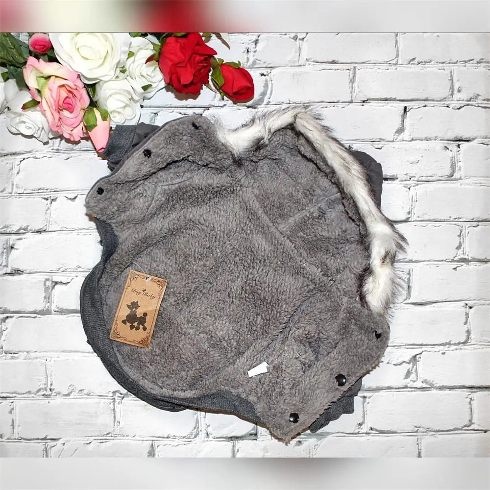 Cozy Winter Cotton Dog Jacket – Warm Hoodie for Small Dogs & Cats