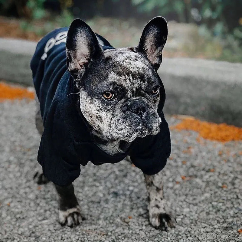 Adidog™ Pet Hoodie – Cozy Streetwear for Your Pup!