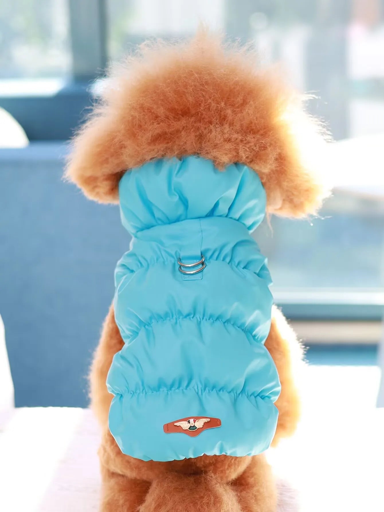 Autumn/Winter Dog Jacket – 3-Layer Warm Coat for Small & Medium Dogs