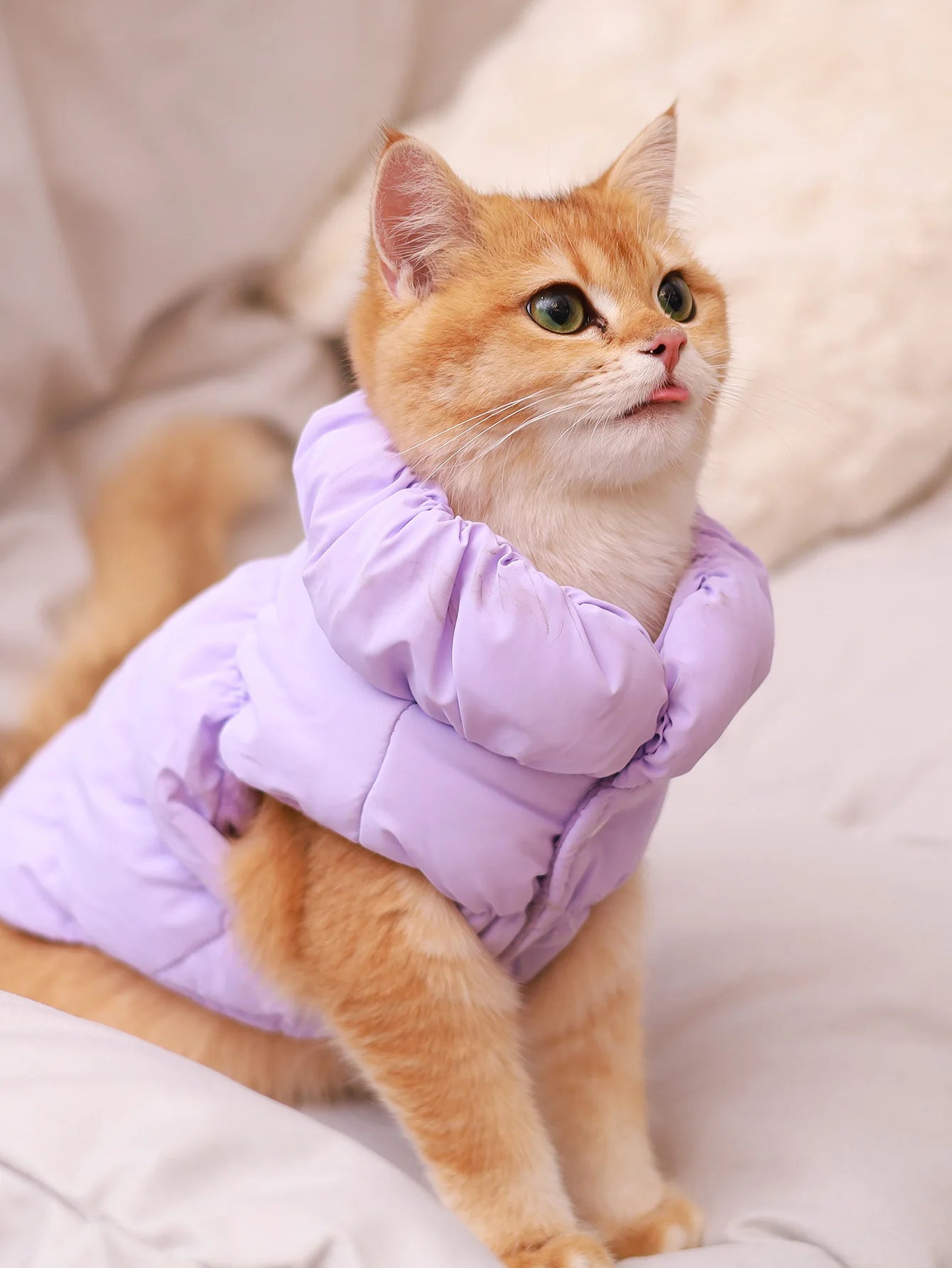 Autumn/Winter Dog Jacket – 3-Layer Warm Coat for Small & Medium Dogs
