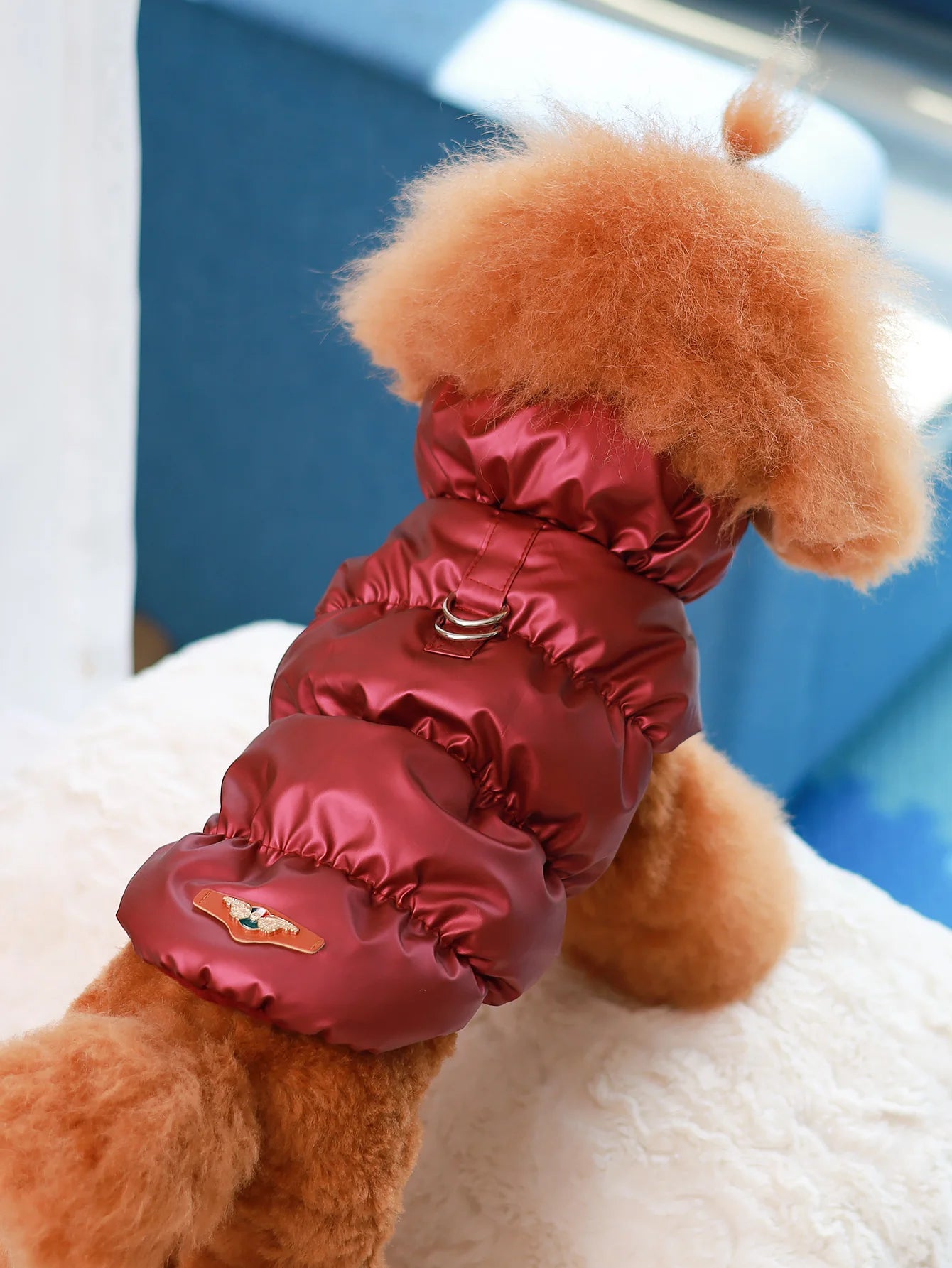 Autumn/Winter Dog Jacket – 3-Layer Warm Coat for Small & Medium Dogs