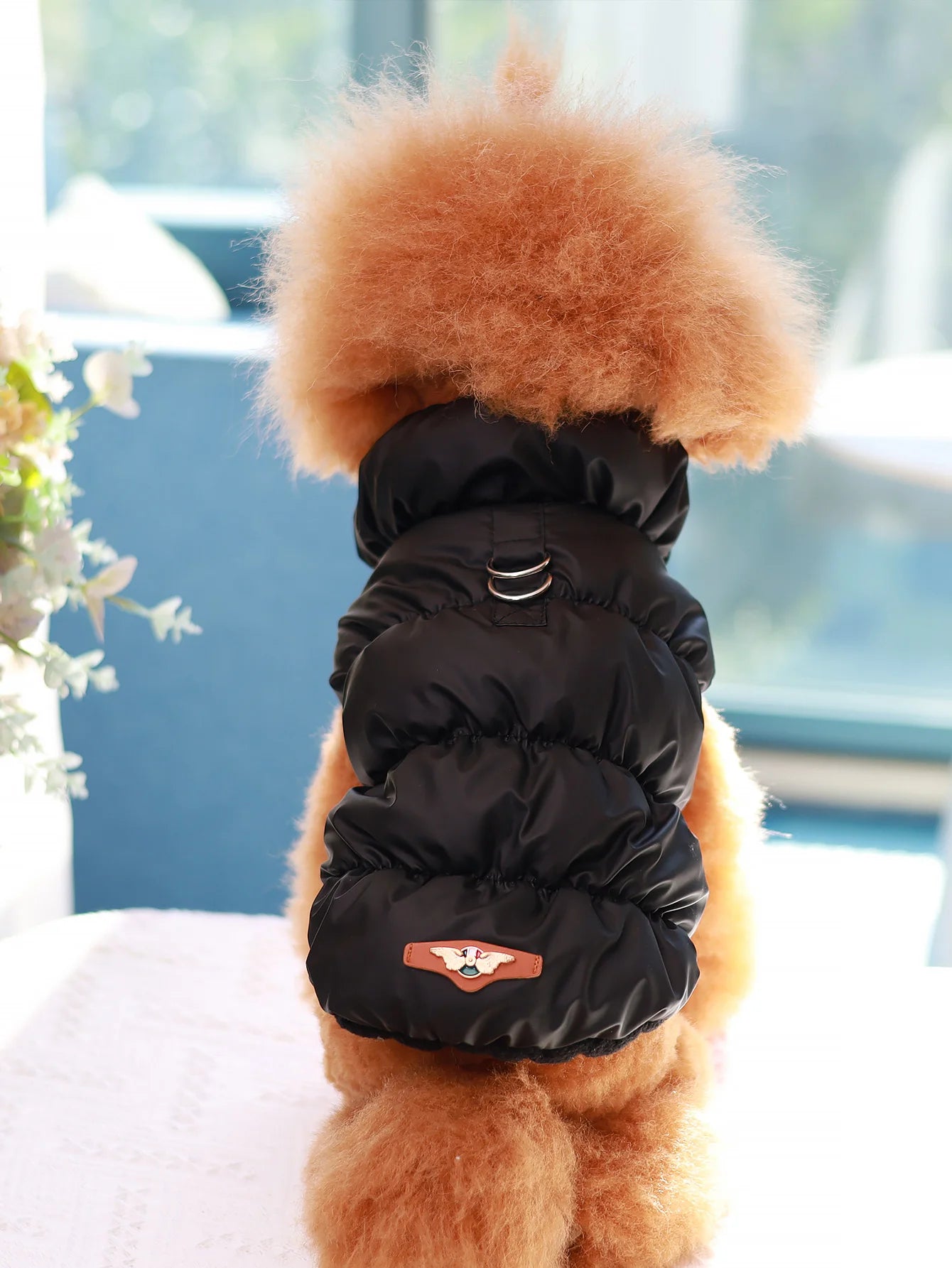 Autumn/Winter Dog Jacket – 3-Layer Warm Coat for Small & Medium Dogs