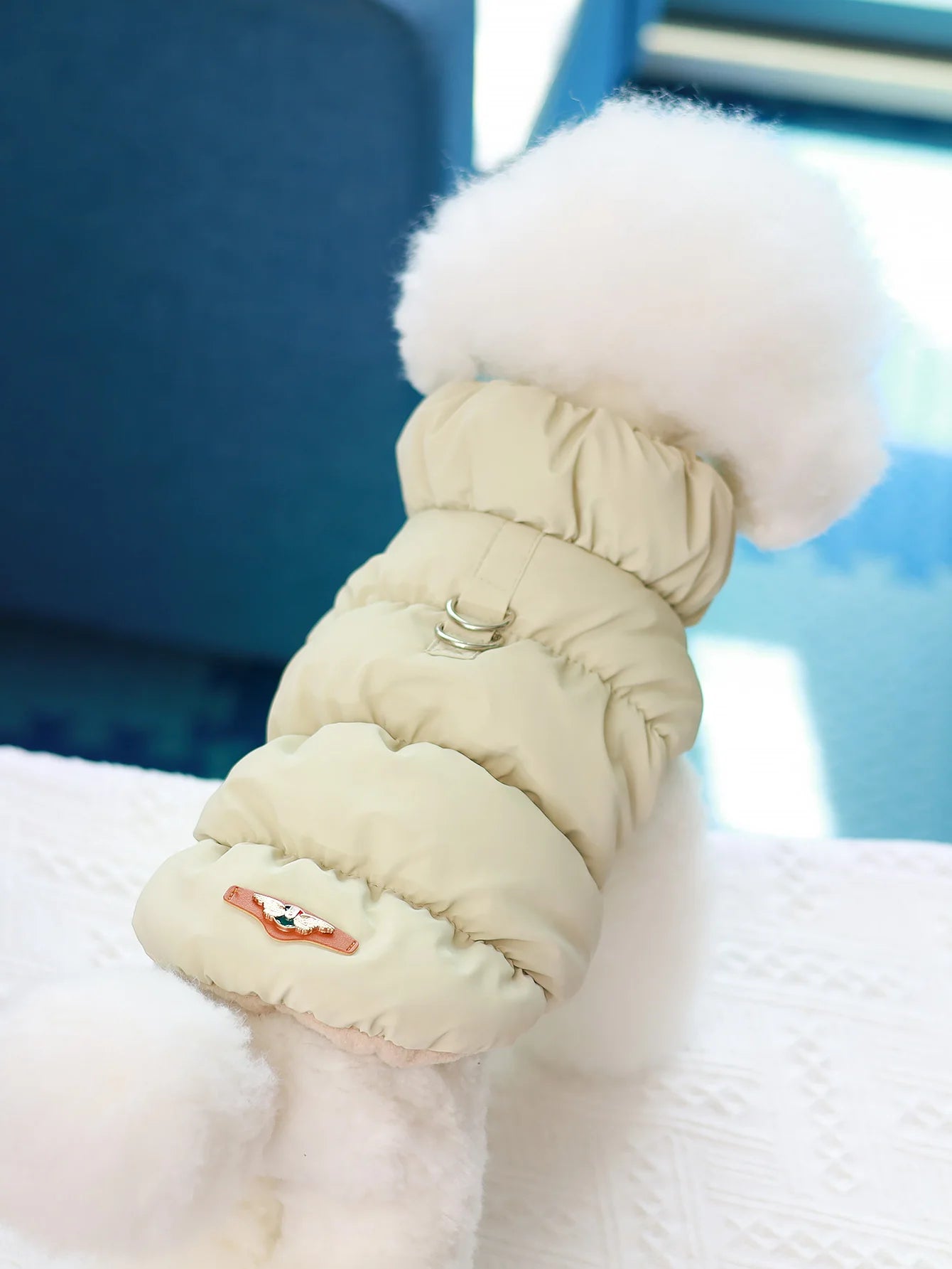 Autumn/Winter Dog Jacket – 3-Layer Warm Coat for Small & Medium Dogs