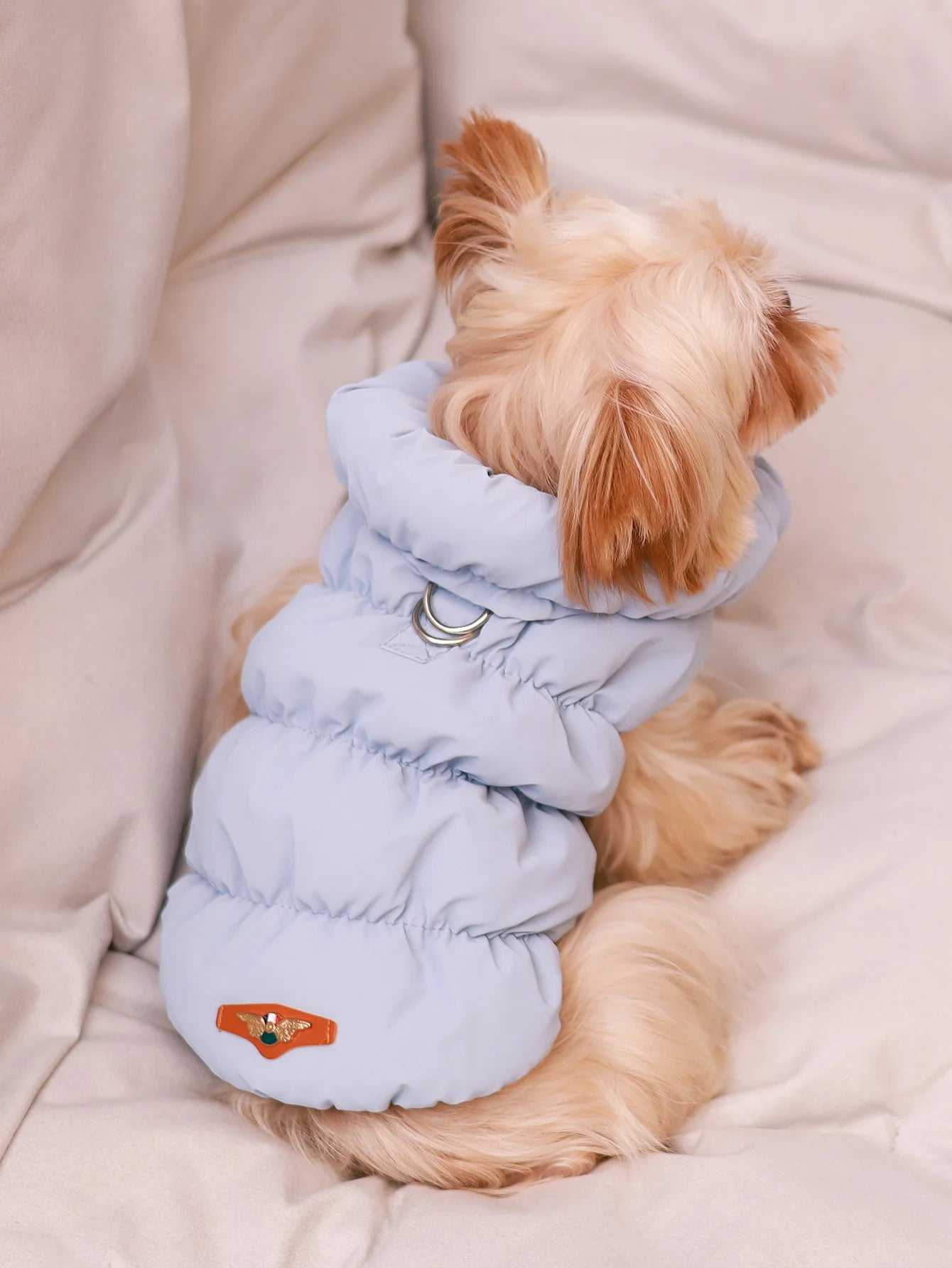 Autumn/Winter Dog Jacket – 3-Layer Warm Coat for Small & Medium Dogs