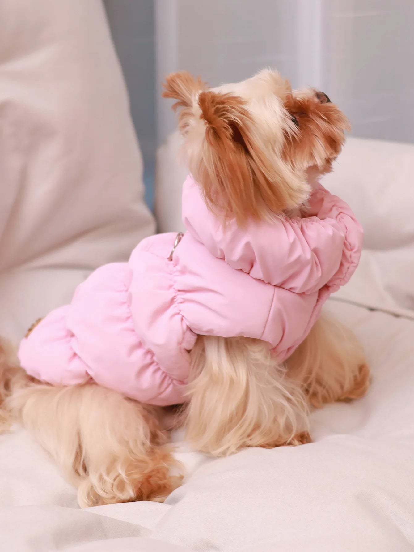 Autumn/Winter Dog Jacket – 3-Layer Warm Coat for Small & Medium Dogs