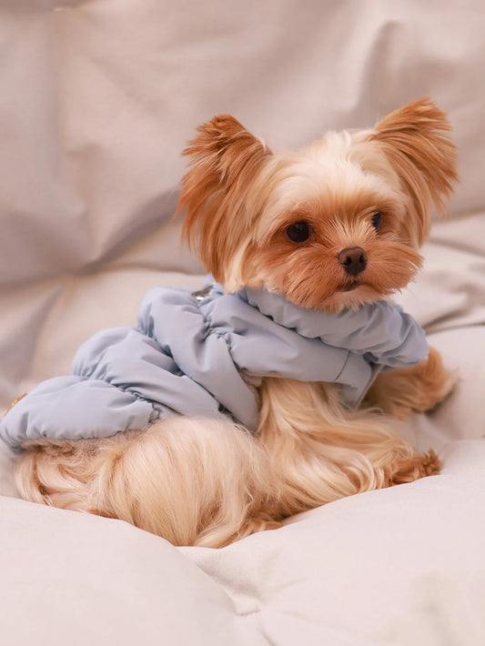 Autumn/Winter Dog Jacket – 3-Layer Warm Coat for Small & Medium Dogs